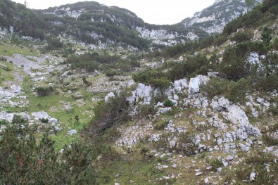habitat Salamandra atra prenjensis na Čvrsnici (BiH)